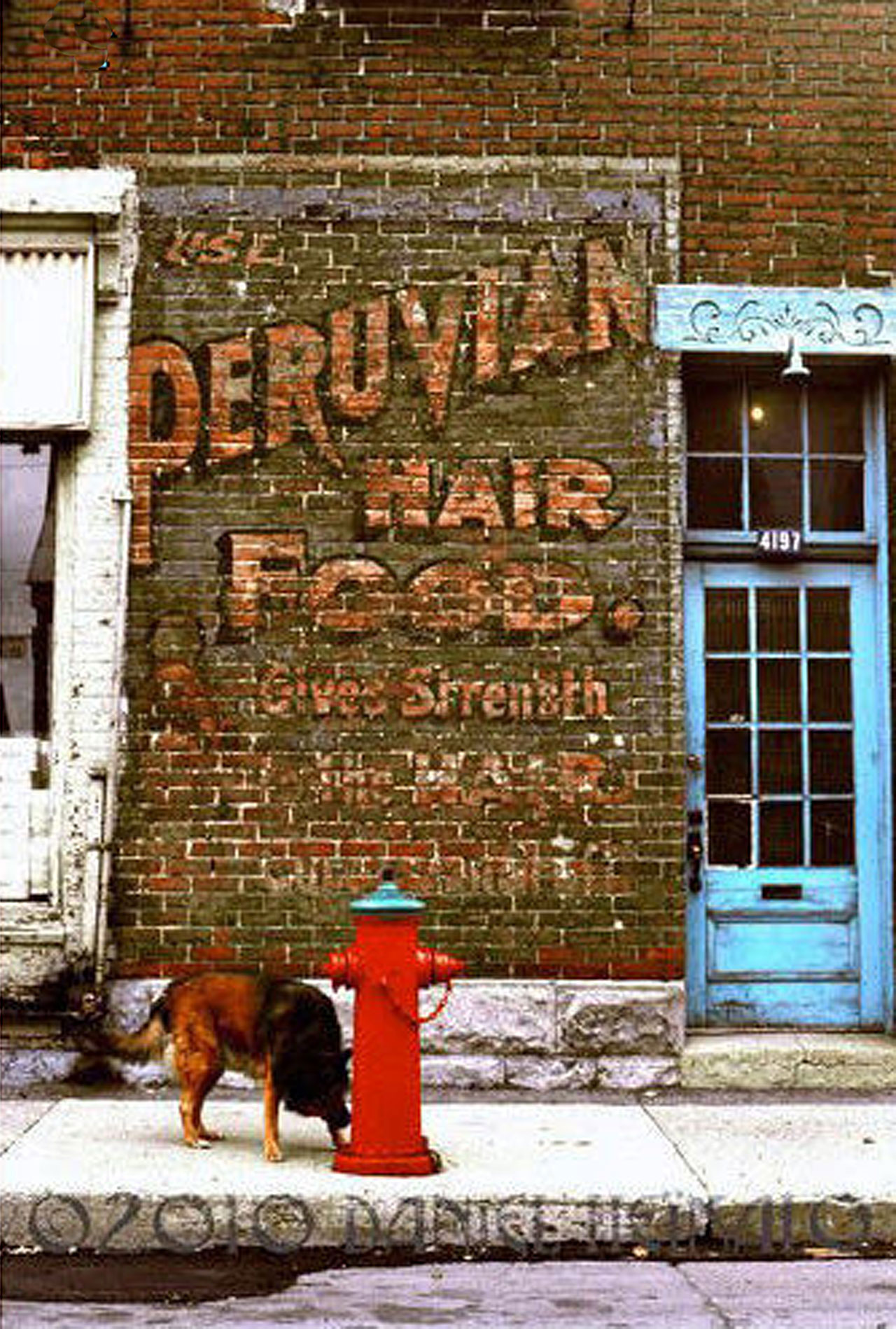 Peruvian_Hair_Food_Daniel_Heikalo_1977